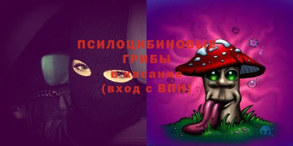 крисы Рославль