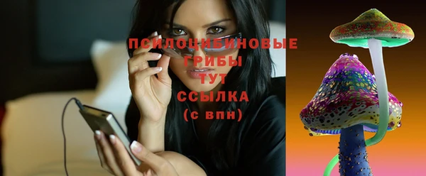крисы Рославль