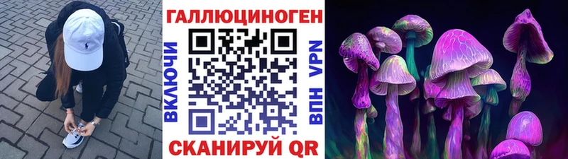 наркота  Сертолово  Галлюциногенные грибы ЛСД 