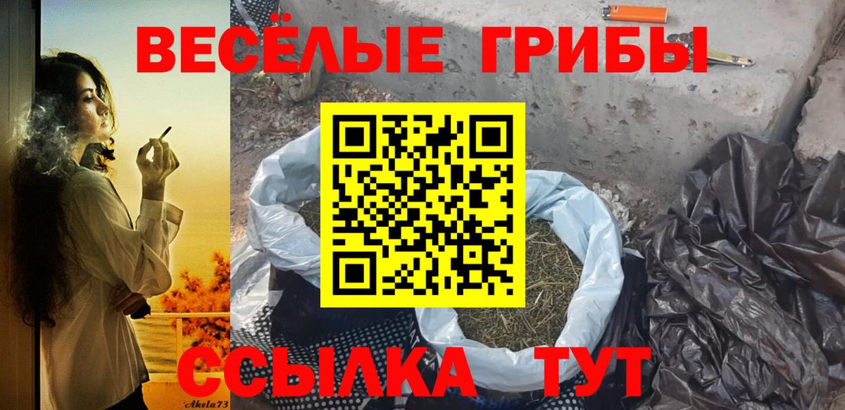 Псилоцибиновые грибы MAGIC MUSHROOMS Сертолово
