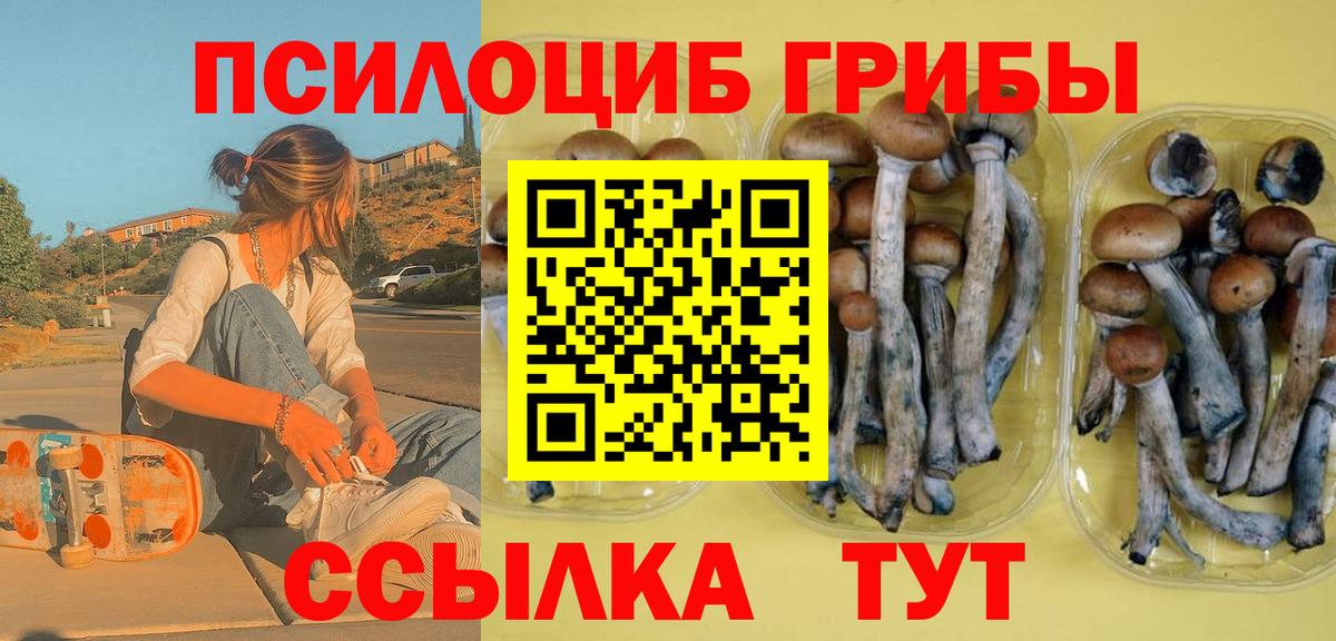 Галлюциногенные грибы GOLDEN TEACHER  Галлюциногенные грибы прущие грибы  Сертолово  Вход с VPN 